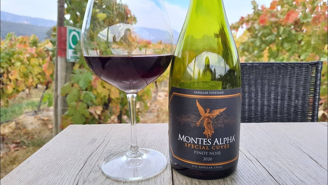 Montes Alpha Special Cuvee Pinot Noir