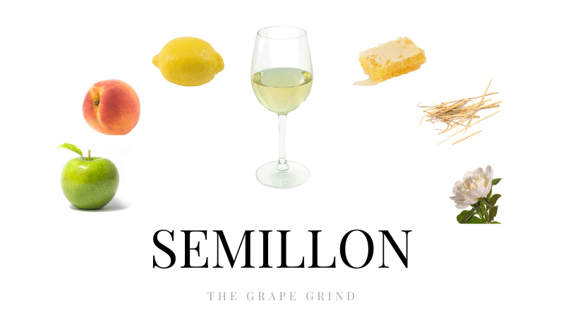 Kết hợp món ăn với rượu vang làm từ giống nho Semillon