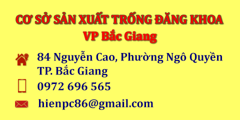 Media.Slider.ImageAlternateTextFormat